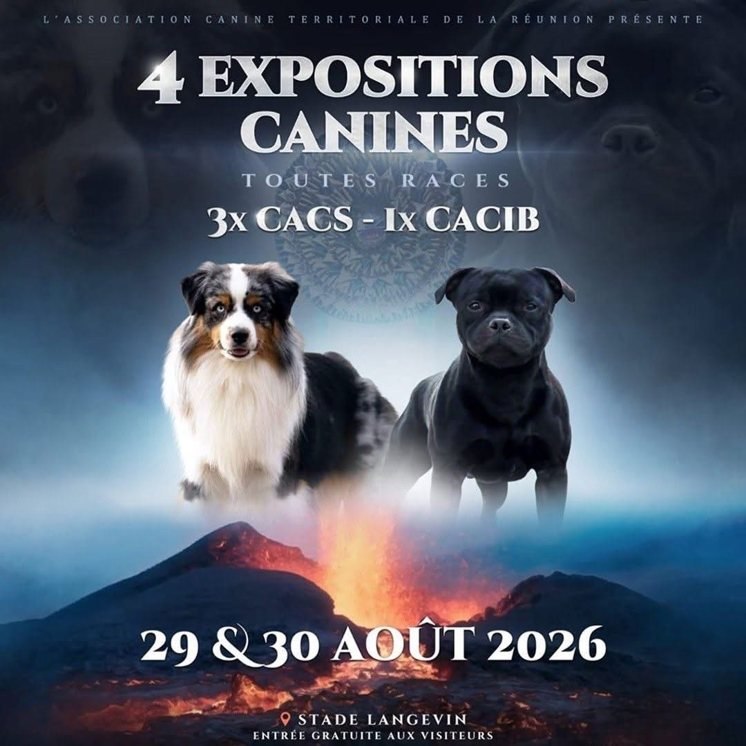 Exposition canine 2026 Saint-Joseph La Réunion