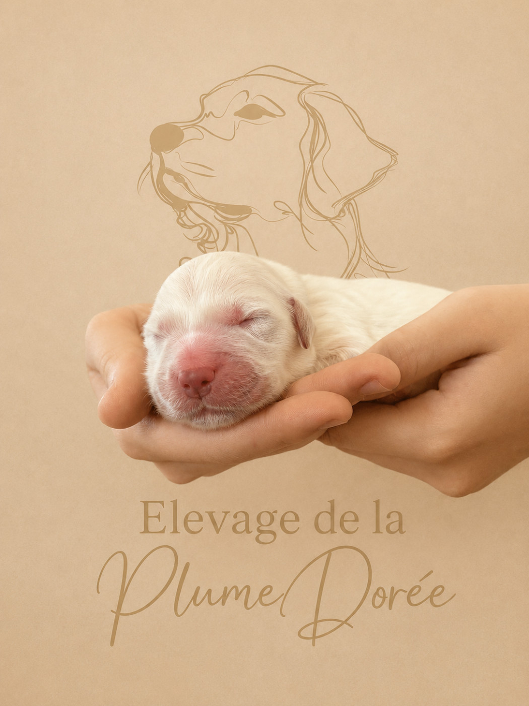 Une merveilleuse nouvelle à partager !